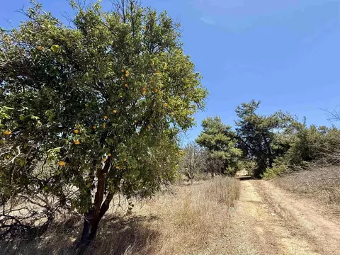 9927 Modrigan Ln, Fallbrook, CA 92028 photo 15