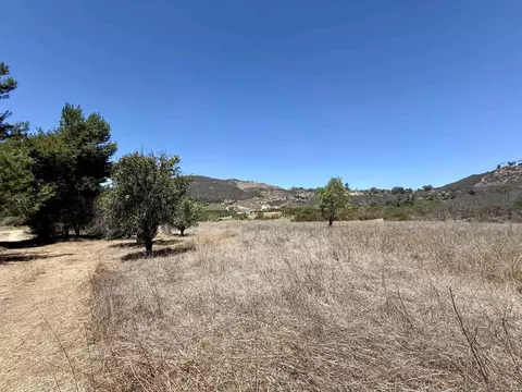 9927 Modrigan Ln, Fallbrook, CA 92028 photo 25