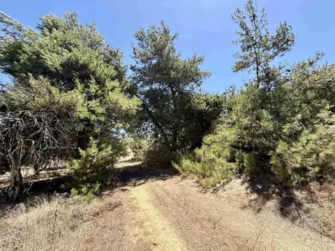 9927 Modrigan Ln, Fallbrook, CA 92028 photo 22