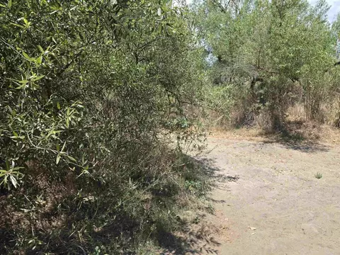 1 Durgin St, Ramona, CA 92065 photo 8
