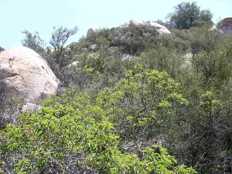 Welcome View, Escondido, CA 92026 photo 11