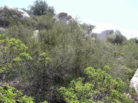Welcome View, Escondido, CA 92026 photo 3
