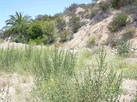 Welcome View, Escondido, CA 92026 photo 6