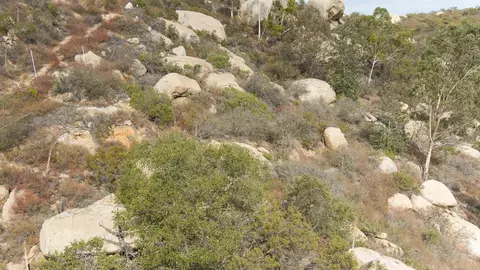 Welcome View, Escondido, CA 92026 photo 6