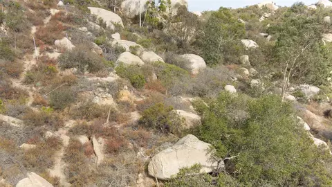 Welcome View, Escondido, CA 92026 photo 5