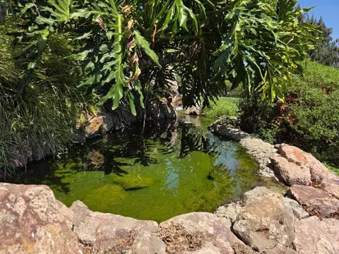 Other - 4241 Via El Dorado, Fallbrook, CA 92028 photo 9 of 10