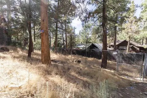 Exterior - 131 E Aeroplane Blvd, Big Bear City, CA 92314 photo 6 of 6