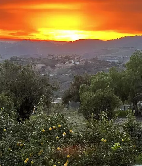 Other - 5741 Rainbow Heights Rd, Fallbrook, CA 92028 photo 17 of 20