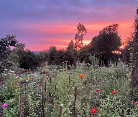 Other - 5741 Rainbow Heights Rd, Fallbrook, CA 92028 photo 2 of 20