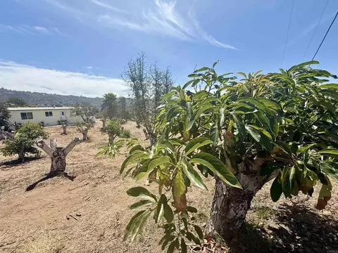 1843 Canyon Heights Rd, Fallbrook, CA 92028 photo 30