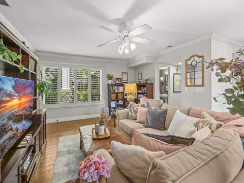 Living - 365 Shore View Ln, Encinitas, CA 92024 photo 5 of 7