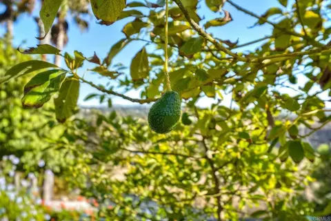Other - 1413 Trabert Ranch Rd, Encinitas, CA 92024 photo 9 of 11