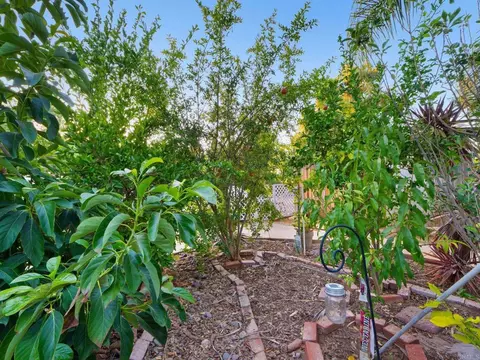 Exterior - 886 Singing Trails Dr, El Cajon, CA 92019 photo 19 of 22