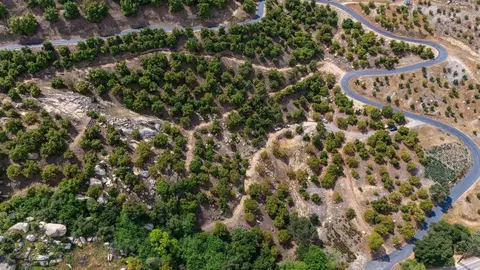 Luis Rey Heights Rd, Bonsall, CA 92003 photo 8