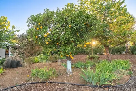 Exterior - 1346 Birch Ave, Escondido, CA 92027 photo 12 of 22