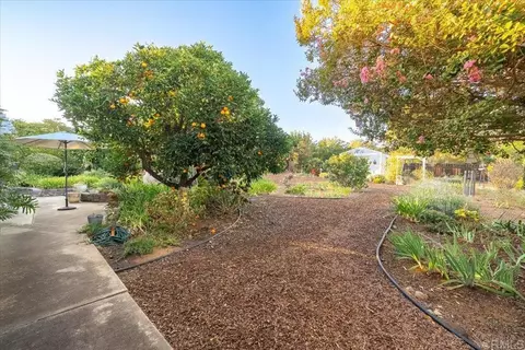Exterior - 1346 Birch Ave, Escondido, CA 92027 photo 7 of 22