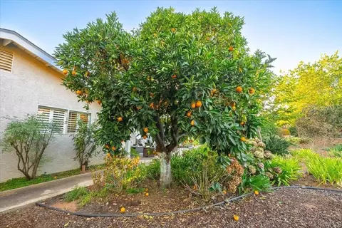 Exterior - 1346 Birch Ave, Escondido, CA 92027 photo 8 of 22