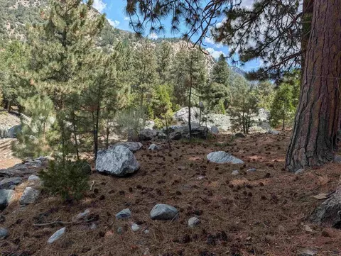 0 Island Dr, Forest Falls, CA 92339 photo 5