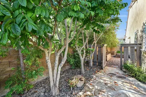Exterior - 2571 Glasgow Dr, Carlsbad, CA 92010 photo 10 of 20