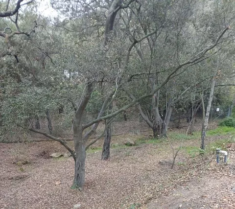 4747 Oak Crest Rd #87, Fallbrook, CA 92028 photo 43