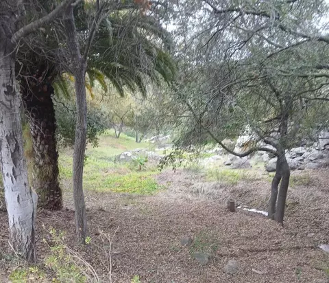 4747 Oak Crest Rd #87, Fallbrook, CA 92028 photo 44