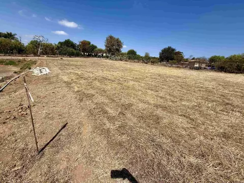 1916 Grey Rabbit Hollow Ln, Fallbrook, CA 92028 photo 20