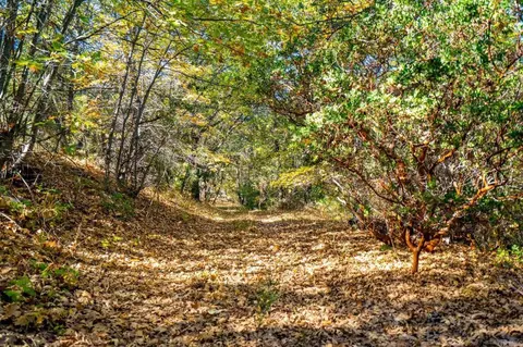 Other - 2810 Three Peaks Ln, Julian, CA 92036 photo 13 of 16