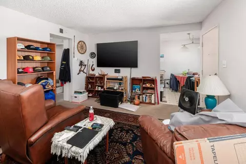 Living - 219 Gloxina St, Encinitas, CA 92024 photo 1 of 7