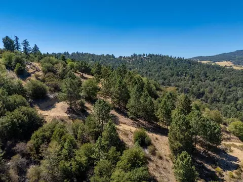 61 E Grade Rd, Palomar Mountain, CA 92060 photo 25