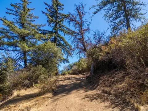 61 E Grade Rd, Palomar Mountain, CA 92060 photo 8