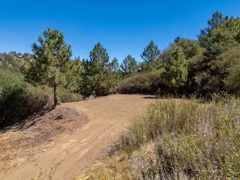 61 E Grade Rd, Palomar Mountain, CA 92060 photo 9