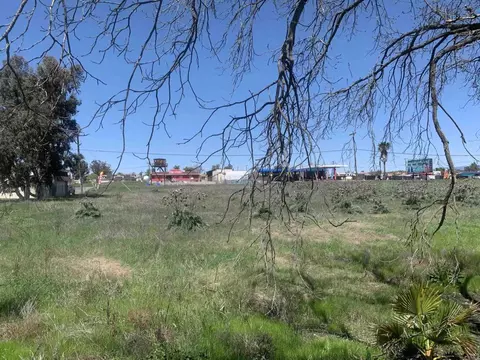 2536 Main St, Ramona, CA 92065 photo 28