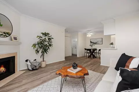 224 Woodland Pkwy #161, San Marcos, CA 92069