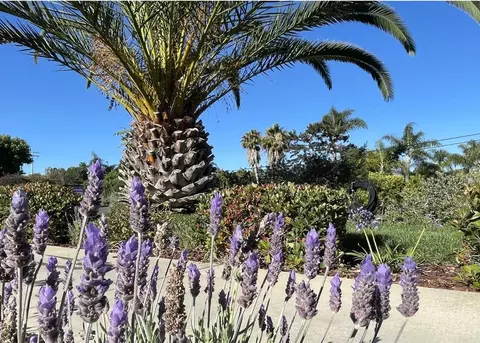 Other - 4305 Manchester Ave, Encinitas, CA 92024 photo 16 of 17