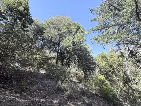 29 Acres East Grade Rd, Palomar Mountain, CA 92060 photo 11