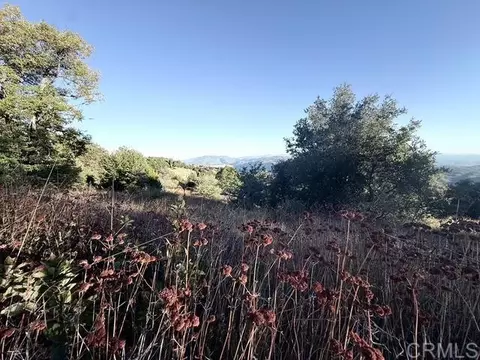 29 Acres East Grade Rd, Palomar Mountain, CA 92060 photo 3