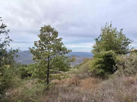 29 Acres East Grade Rd, Palomar Mountain, CA 92060 photo 14