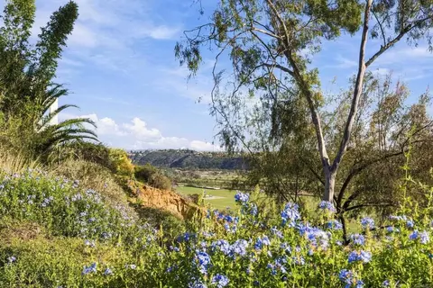 Other - 4616 Rancho Reposo, Del Mar, CA 92014 photo 12 of 12
