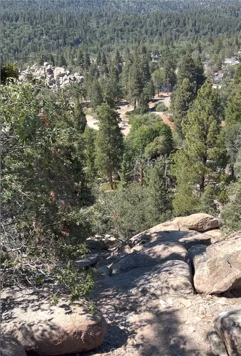 1 Deer Lick Dr, Arrowbear, CA 92382