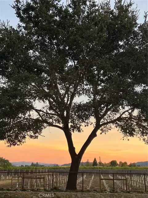Other - 1125 Rutherford, Napa, CA 94558 photo 11 of 11