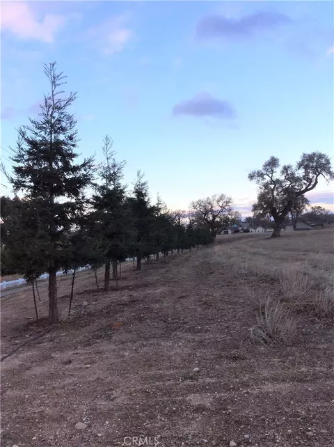 1320 Fire Rock Loop, Templeton, CA 93465 photo 7