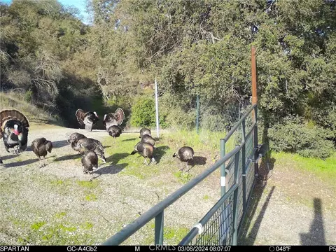 70598 Jolon Rd, Bradley, CA 93426 photo 31