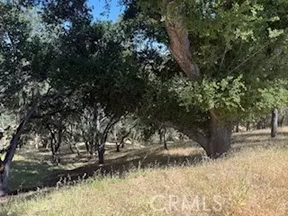 2172 Ridge Rider Rd, Lake Nacimiento, CA 93426