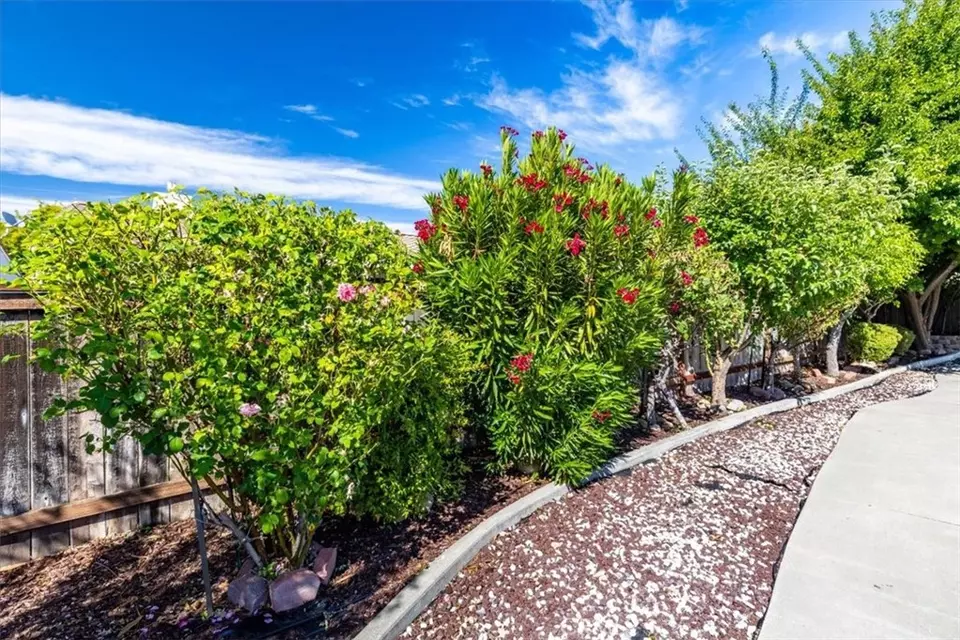  6195 Via Huerto Ct, Atascadero, CA 93422 photo 34