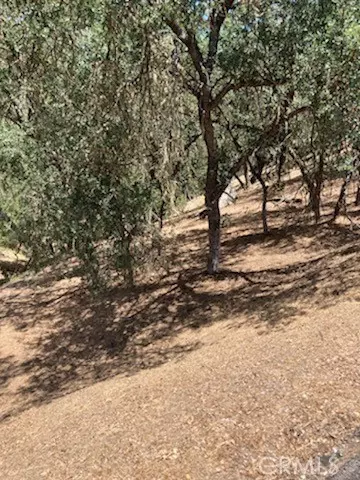 2668 Pine Ridge Rd, Bradley, CA 93426