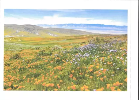 0 Cooperstown Rd, California Valley, CA 93453