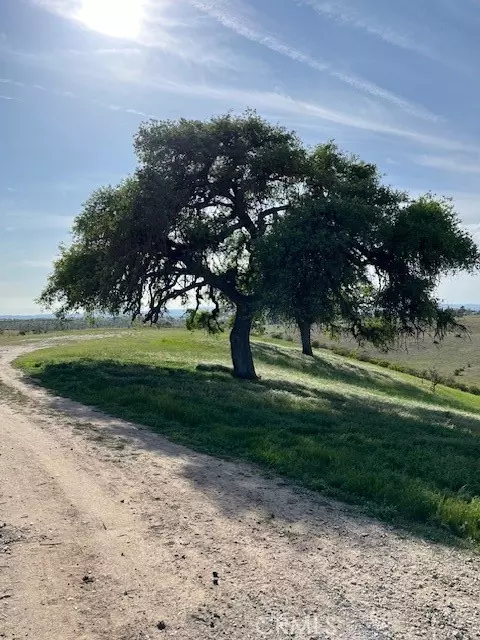 0 Forked Horn Pl, Paso Robles, CA 93446