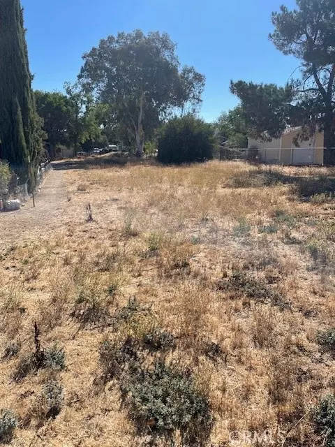 286 1st, Shandon, CA 93461 photo 3