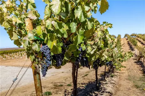 Other - 6944 Union Rd, Paso Robles, CA 93446 photo 10 of 15