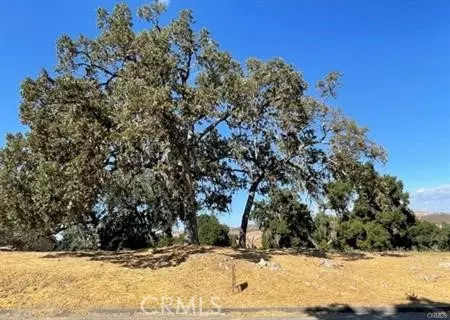 9970 Bluegill Dr, Paso Robles, CA 93446 photo 3
